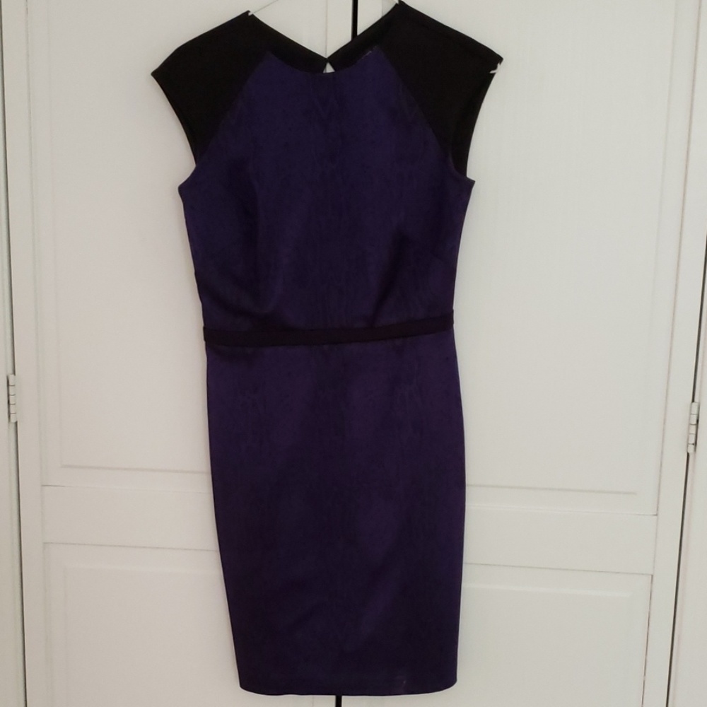 Cynthia Steffe dress- size 2